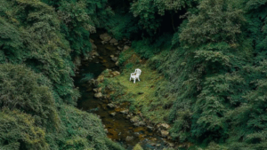 Read more about the article O valor não está no movimento. Está na presença.