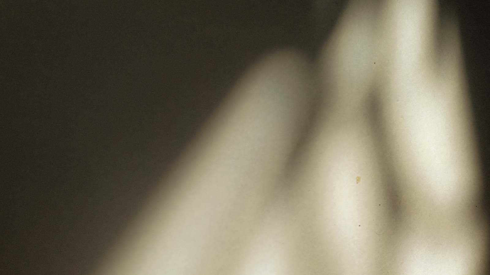 Sem nome (2048 x 2048 px) (1200 x 1200 px) (1)