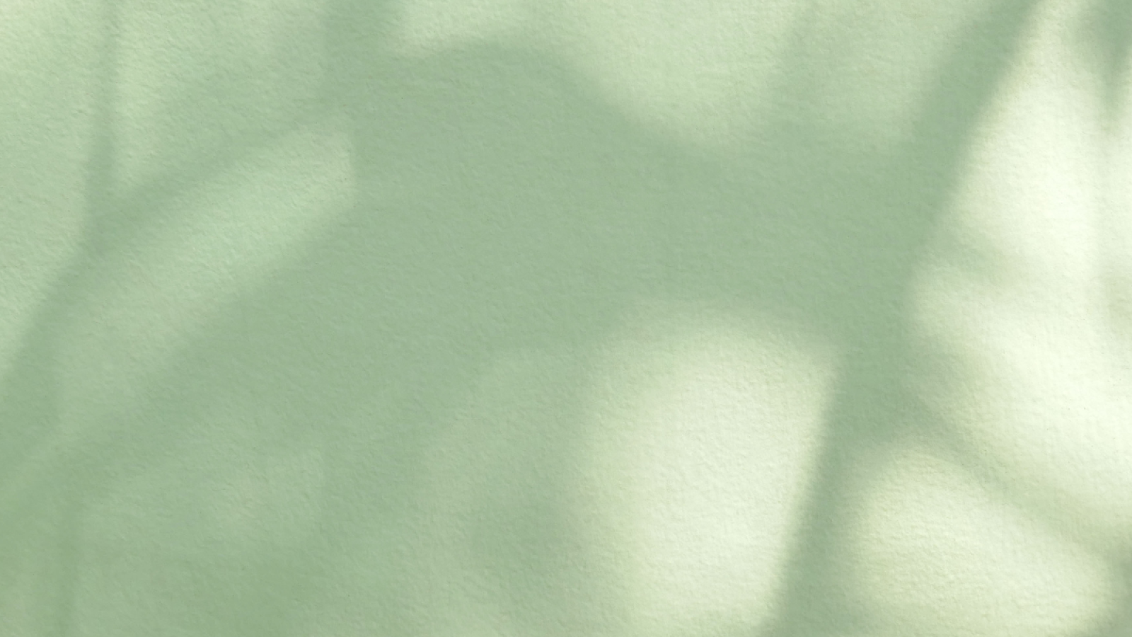 Sem nome (2048 x 2048 px) (1200 x 1200 px) (1200 x 1200 px) (1)