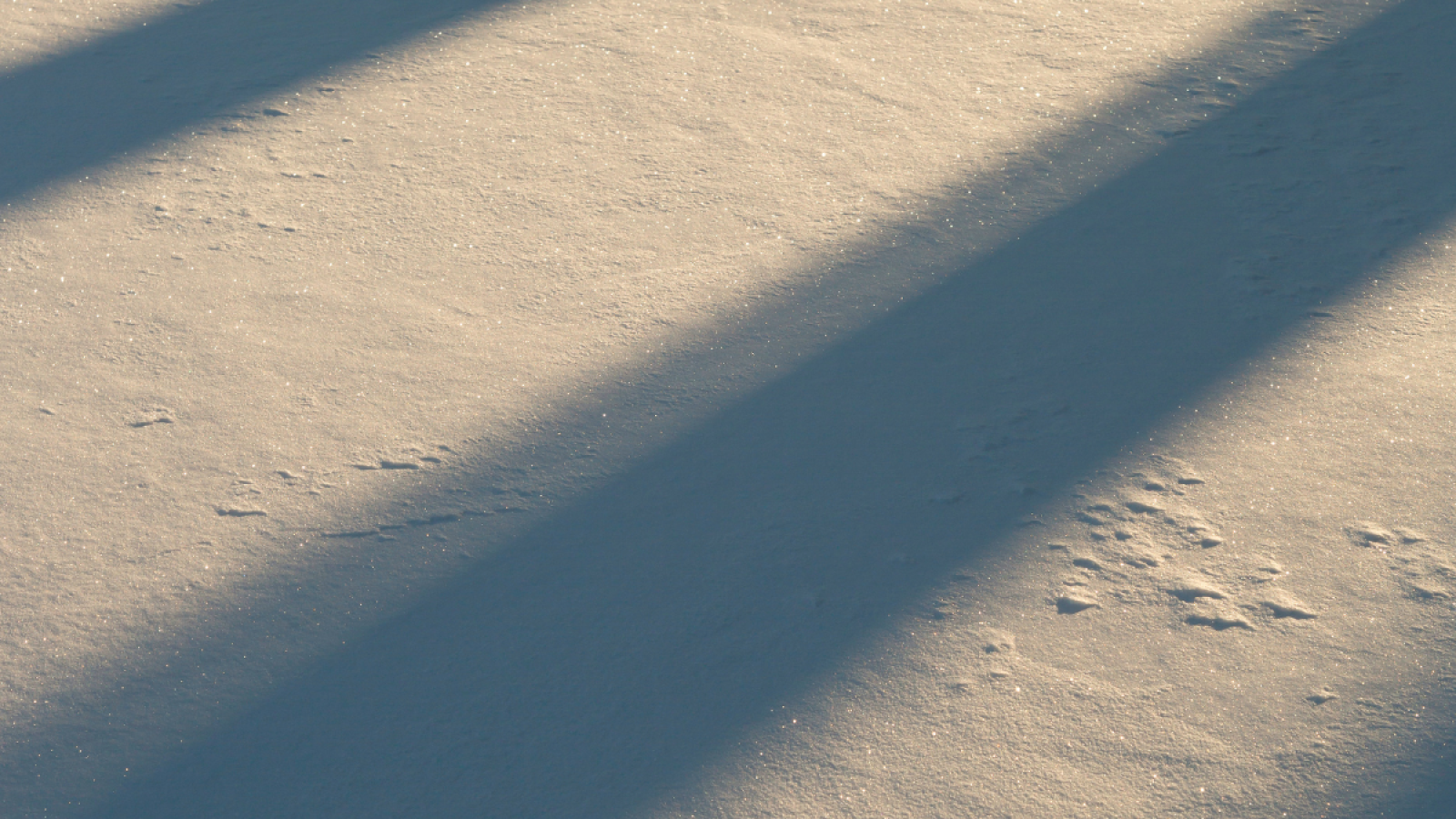 Sem nome (2048 x 2048 px) (1200 x 1200 px) (1200 x 1200 px) (3)