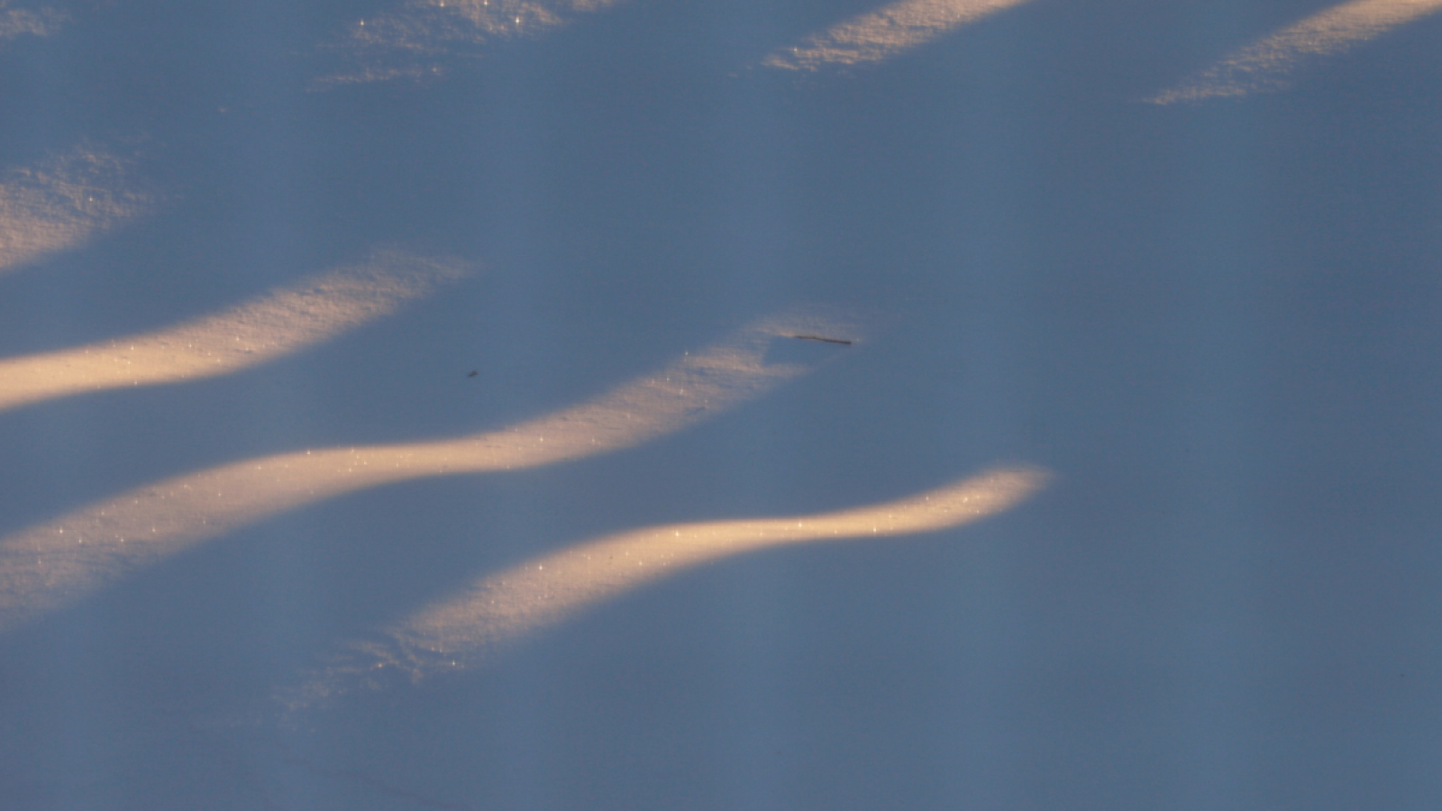 Sem nome (2048 x 2048 px) (1200 x 1200 px) (1200 x 1200 px) (4)