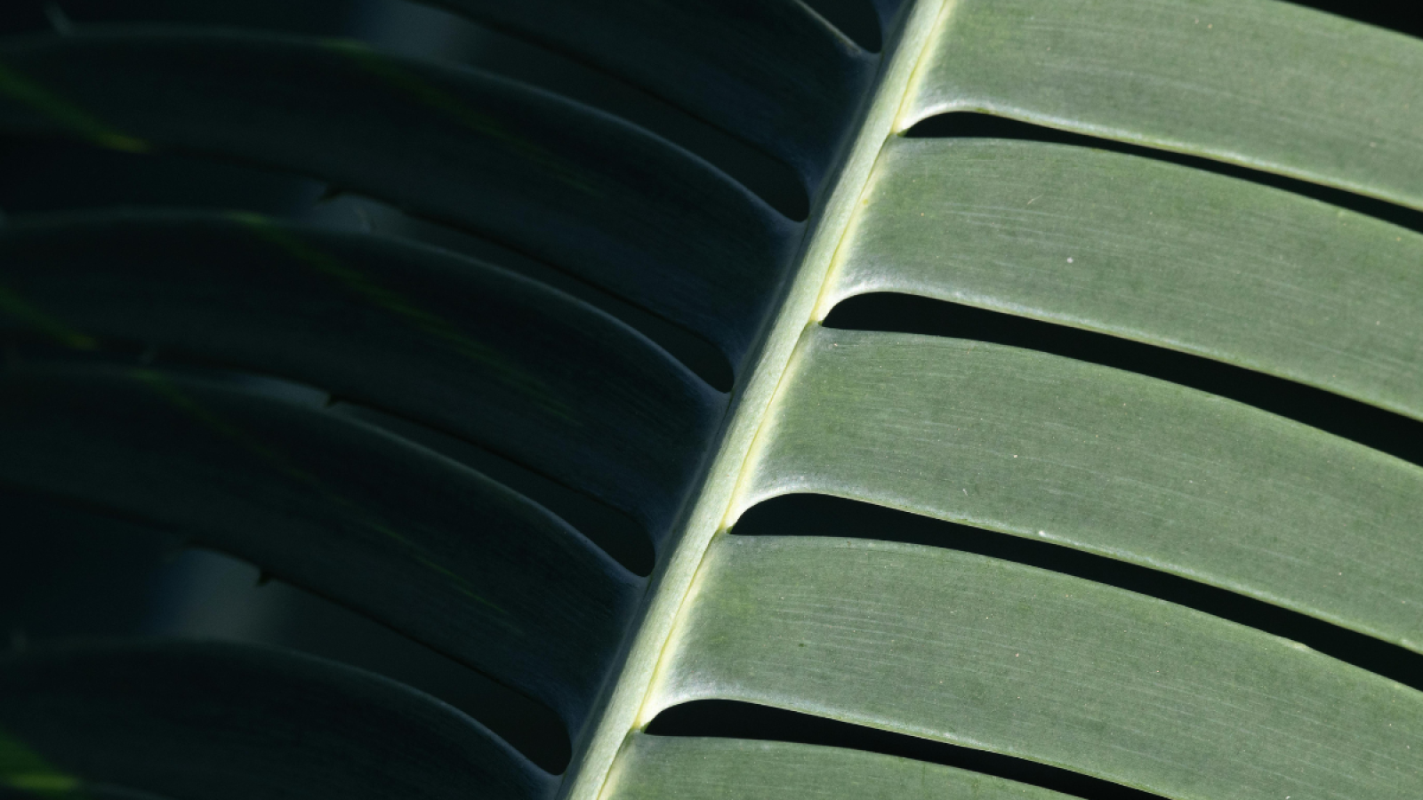 Sem nome (2048 x 2048 px) (1200 x 1200 px) (1200 x 1200 px)