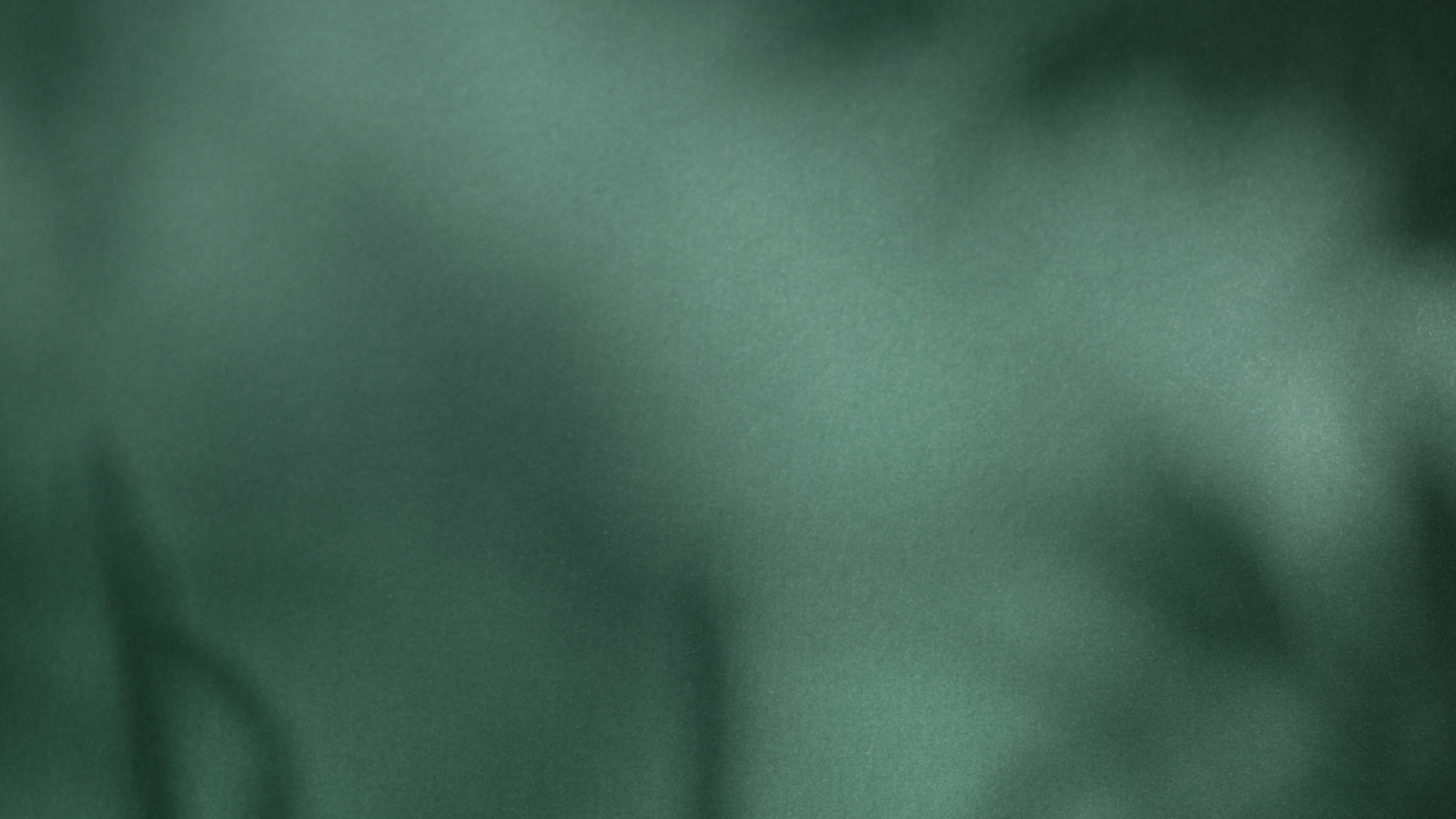 Sem nome (2048 x 2048 px) (1200 x 1200 px) (4)